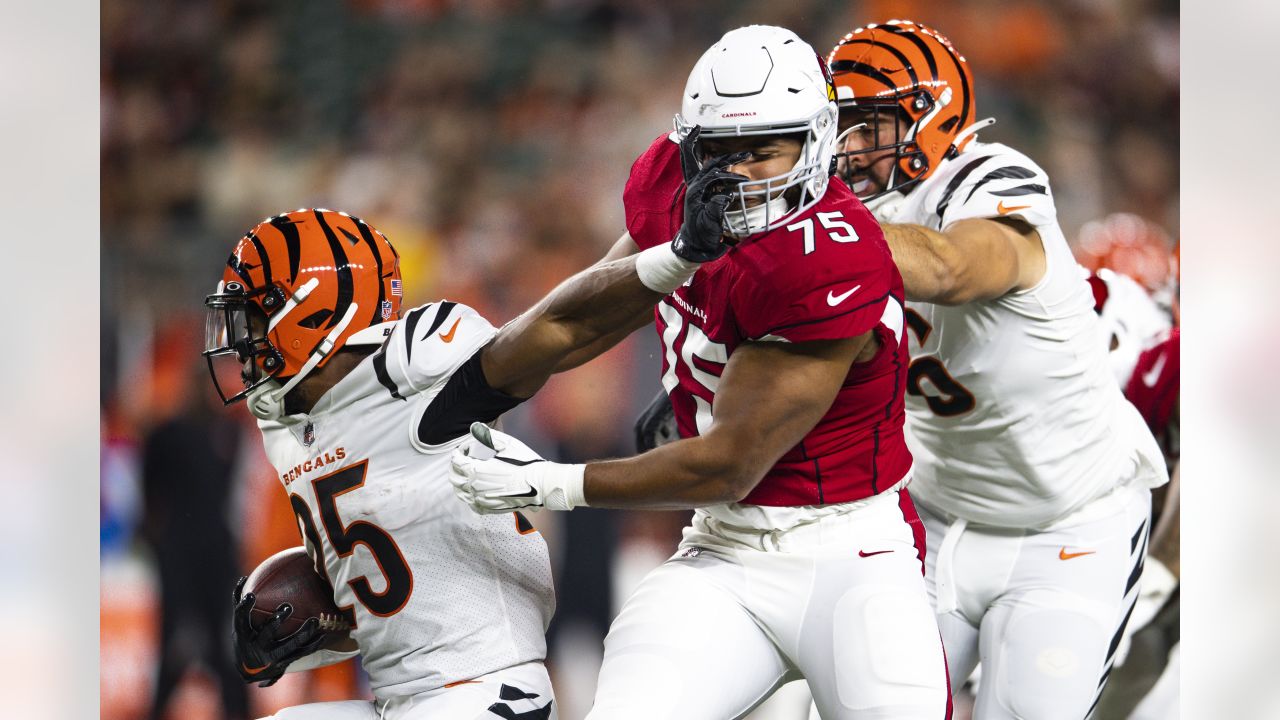 Arizona Cardinals defensive tackle Leki Fotu (95) looks up at a replay  during an NFL football game against the Cincinnati Bengals, Friday, Aug.  12, 2022, in Cincinnati. (AP Photo/Zach Bolinger Stock Photo - Alamy