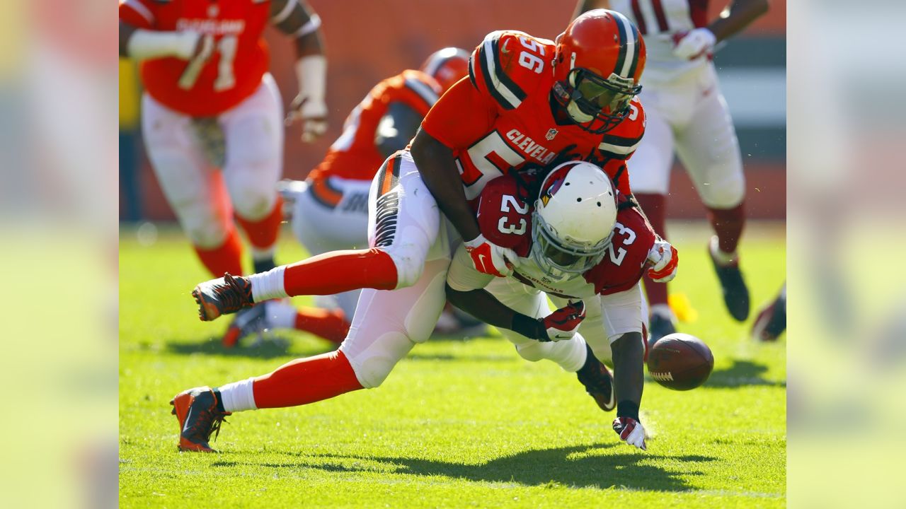 Arizona Cardinals LB Karlos Dansby becomes 'a legend' with 20th INT