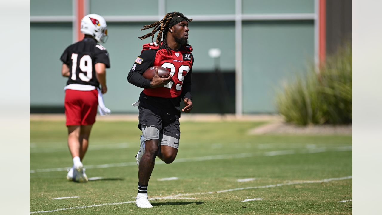 Cardinals Position Overview 2022: Running Back