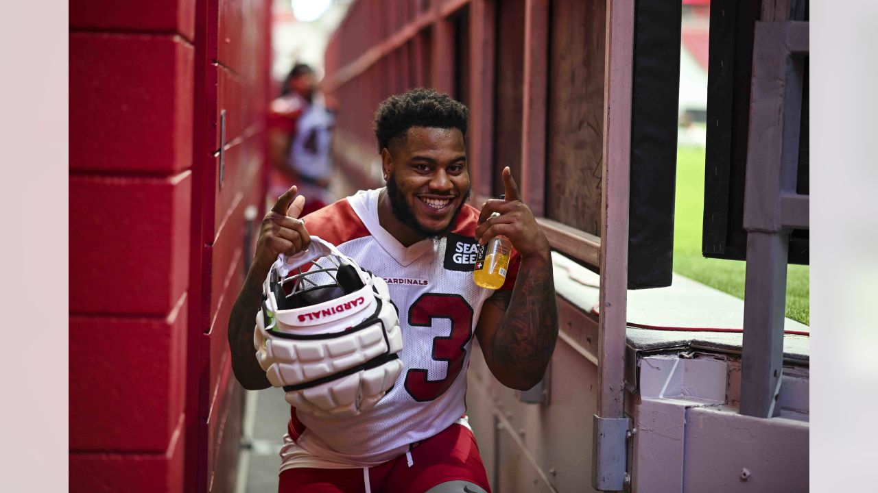 Cardinals running back James Conner on why he enjoys the position he plays