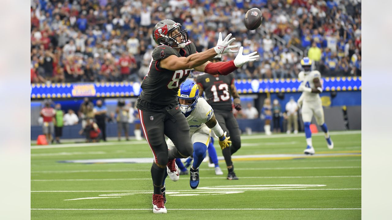 Cardinals Tight End Outlook: Zach Ertz is the NFL's top free agent tight end  of 2022 - Revenge of the Birds