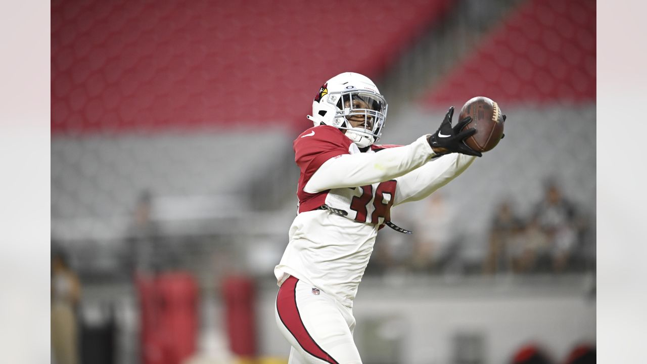 Arizona Cardinals release Eno Benjamin per report - Revenge of the Birds