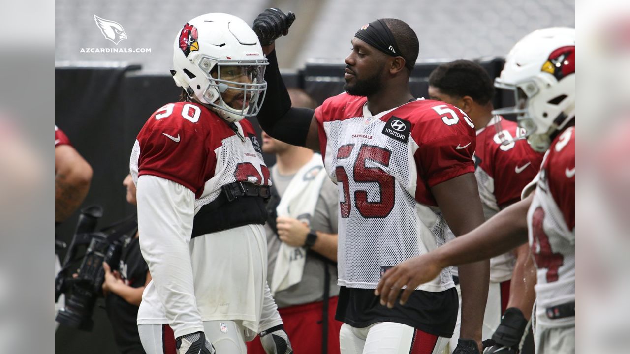 Byron Leftwich is the next head coach in waiting on the Arizona Cardinals  staff - Revenge of the Birds