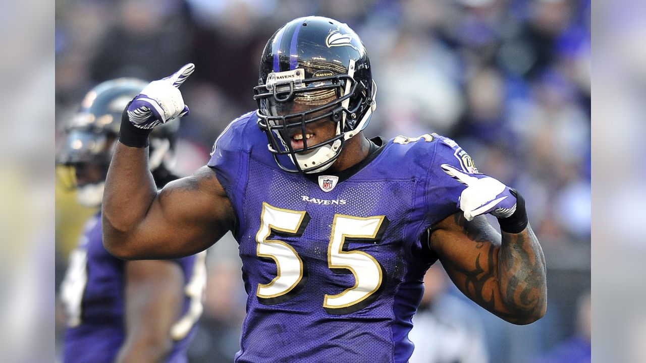 Terrell Suggs Movies and Shows - Apple TV
