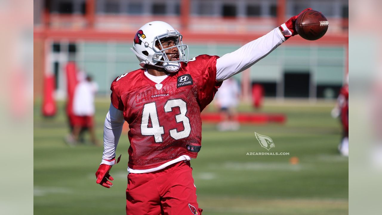 Arizona Cardinals Cornerback Rudy Ford 30 Editorial Stock Photo - Stock  Image