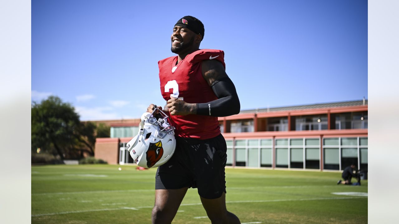 Damien Williams Comes Off The Sidelines To Help Cardinals