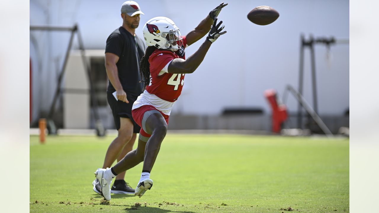 Arizona Cardinals running back James Conner (6) is hit by Minnesota Vikings  free safety Harrison Smith during the second half of an NFL football game,  Sunday, Sept. 19, 2021, in Glendale, Ariz. (