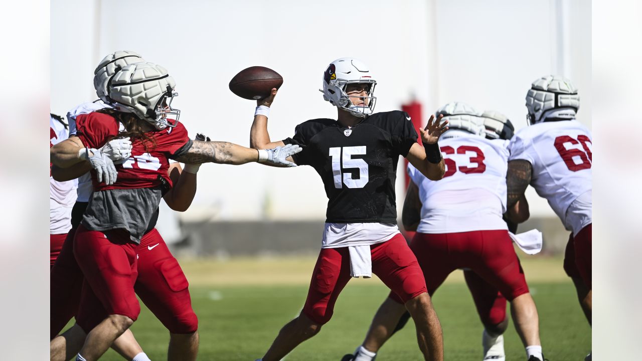 Arizona Cardinals 2023 Team NFL Wall Calendar