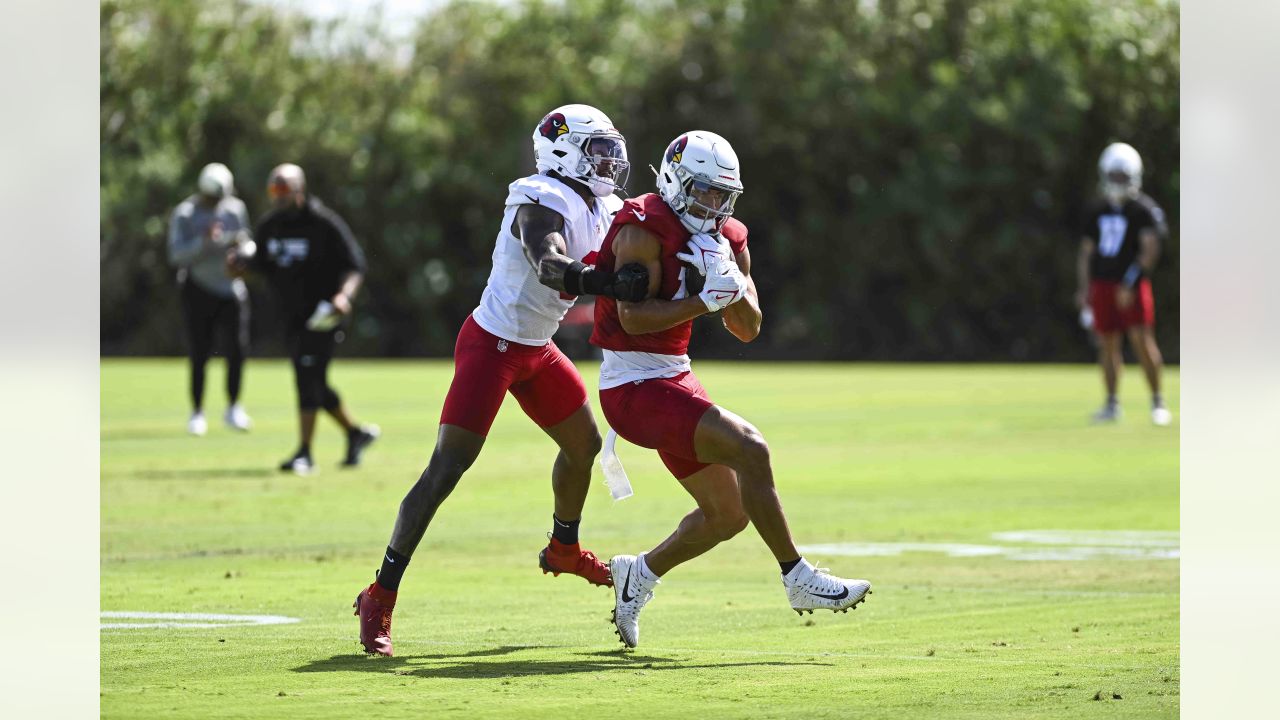 PHOTOS: Cardinals Training Camp - August 16