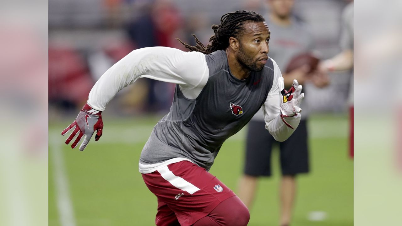 Arizona Cardinals' Bruce Arians considers giving Elijhaa Penny a look as  featured RB, at least for a series