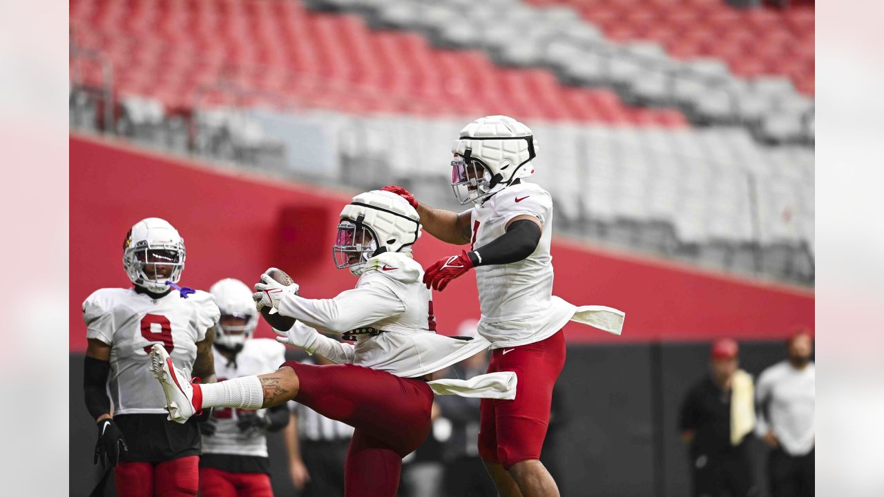 An Arizona Cardinals fan waves a flag during NFL football training camp  Saturday, July 29, 2023, in Glendale, Ariz. (AP Photo/Ross D. Franklin  Stock Photo - Alamy