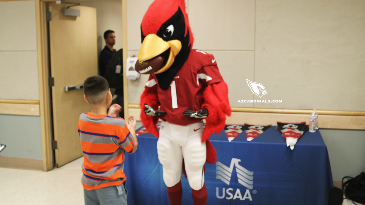 Cardinals visit Phoenix VA to acknowledge vets