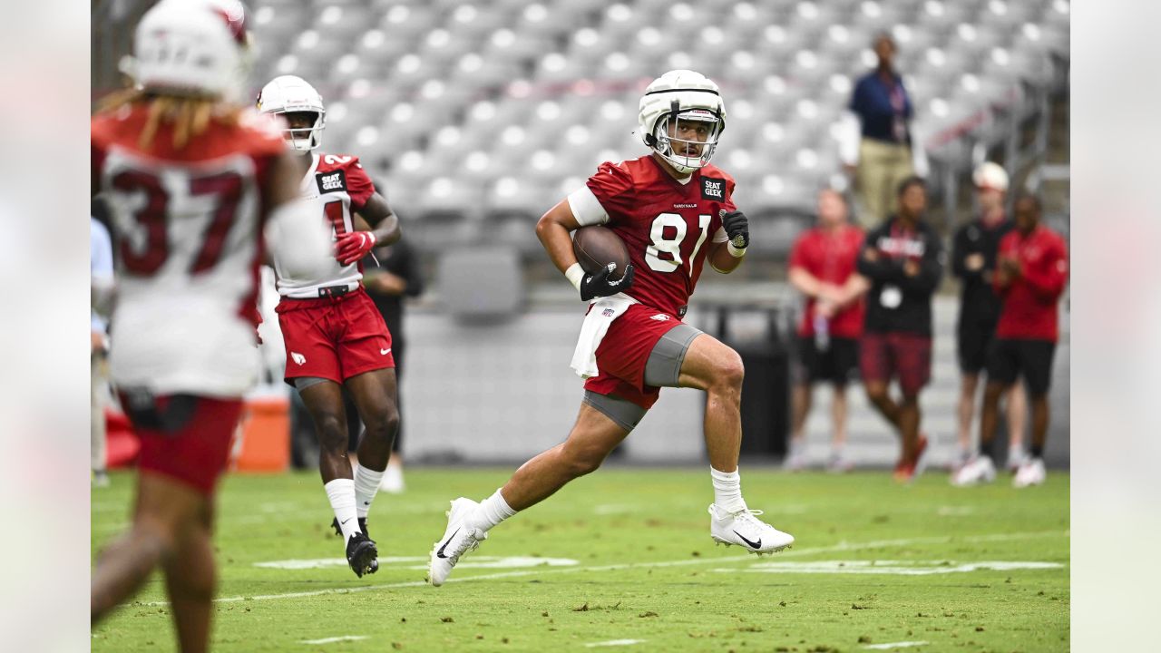 An Arizona Cardinals fan waves a flag during NFL football training camp  Saturday, July 29, 2023, in Glendale, Ariz. (AP Photo/Ross D. Franklin  Stock Photo - Alamy