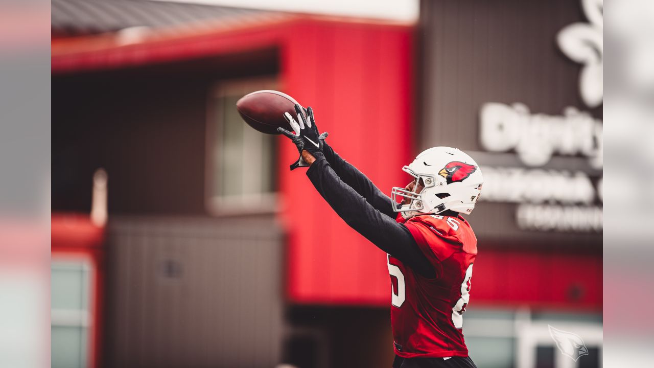 Gillette Stadium. 29th Nov, 2020. MA, USA; Arizona Cardinals punter Andy  Lee (4) and Arizona Cardinals kicker Zane Gonzalez (5) in action during the  NFL game between Arizona Cardinals and New England