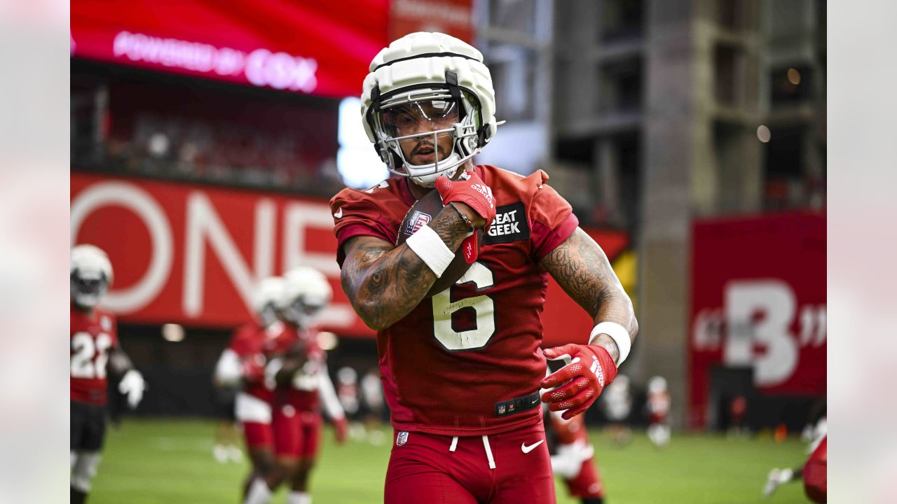 Cardinals Add James Conner To Running Back Mix