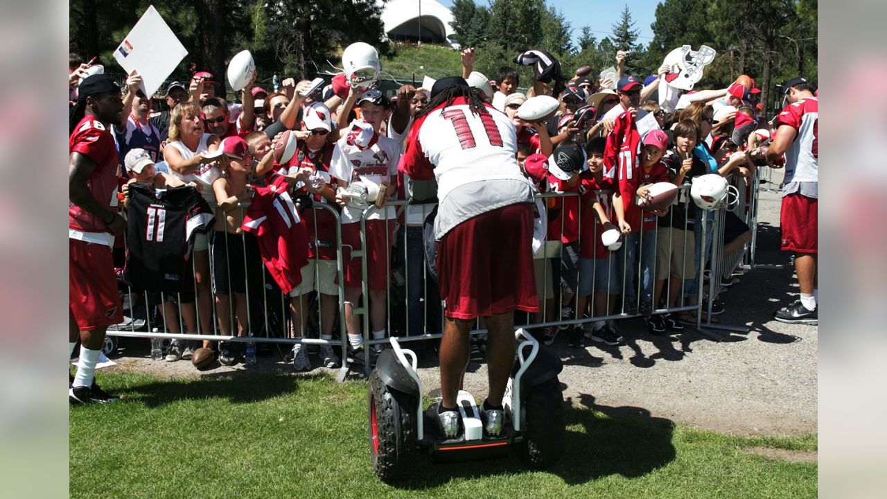 Larry Fitzgerald Hall of Fame credentials - Revenge of the Birds