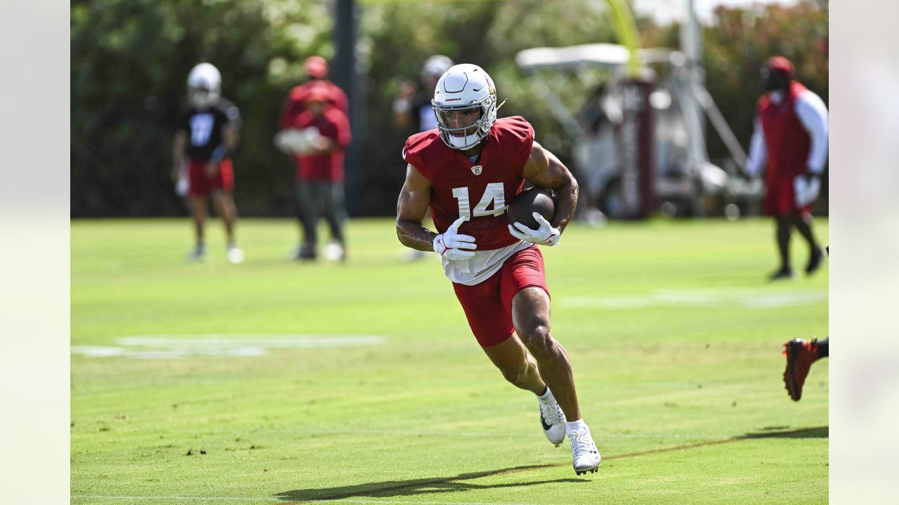 PHOTOS: Cardinals Training Camp - August 16