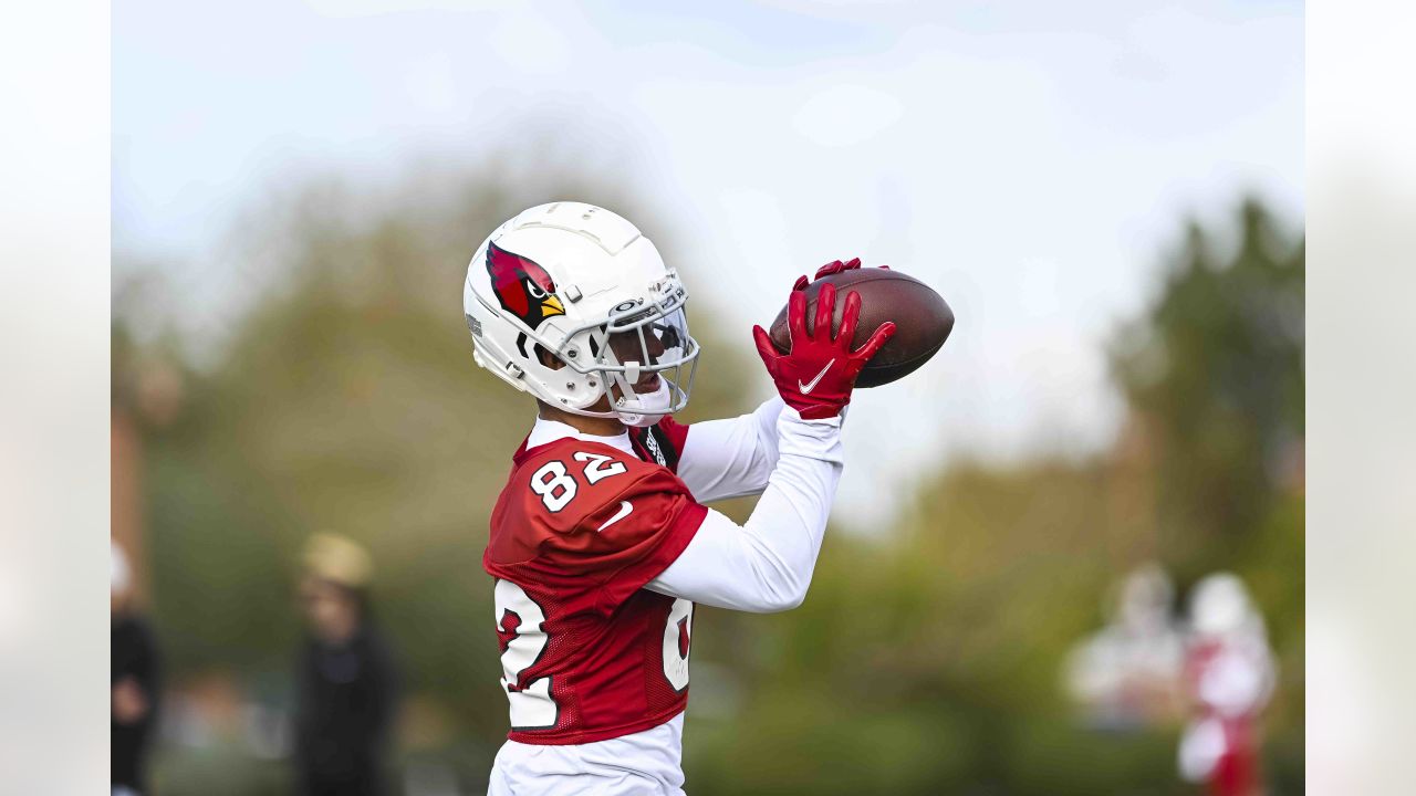 Arizona Cardinals kicker Matt Prater's 43-yard field goal puts the