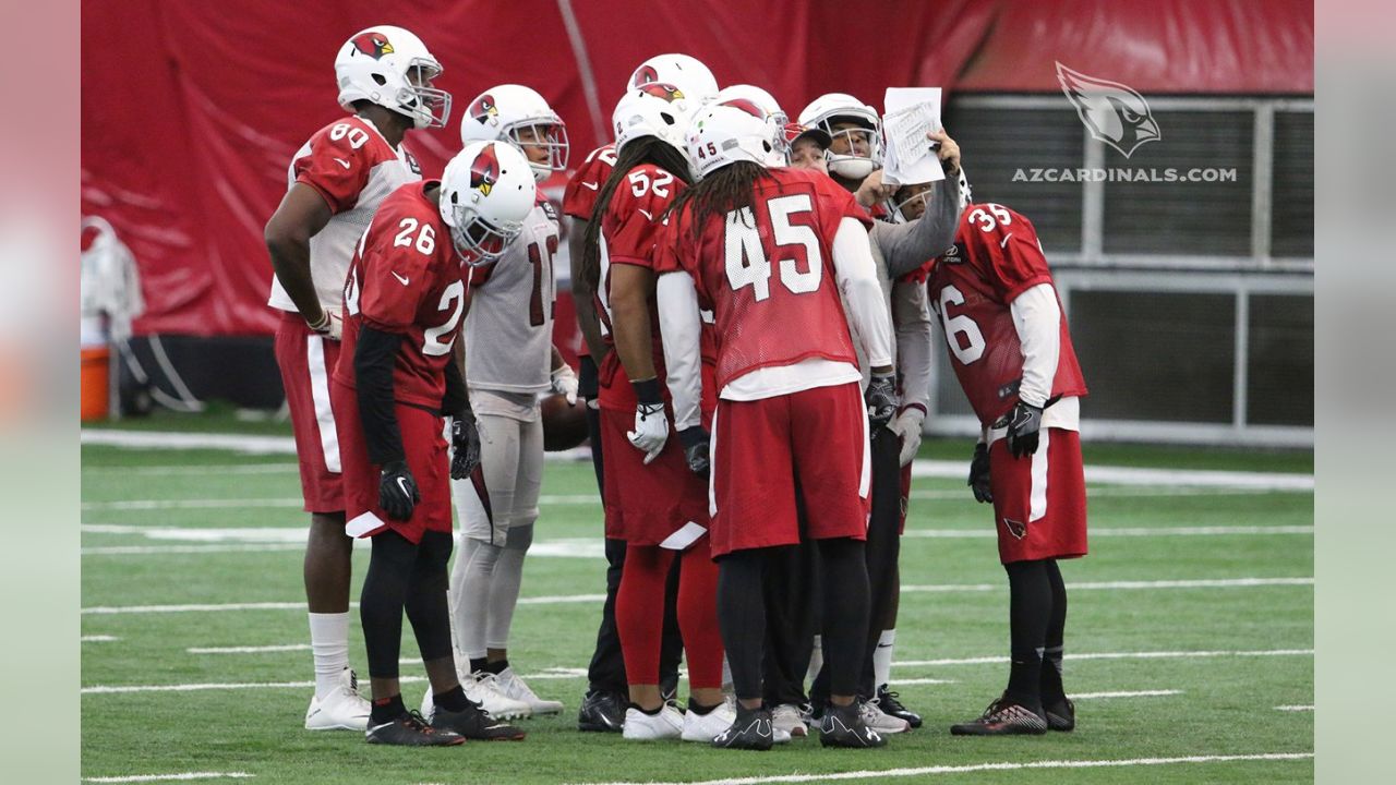 Fake punt alert! Arizona Cardinals punter Andy Lee catches Tampa