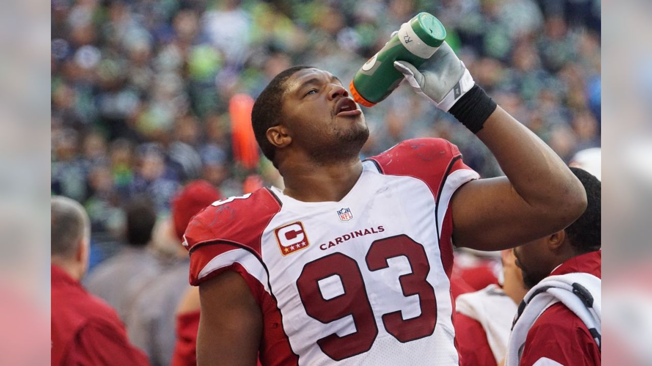 Calais Campbell, Frostee Rucker expect big things from Cardinals D-line