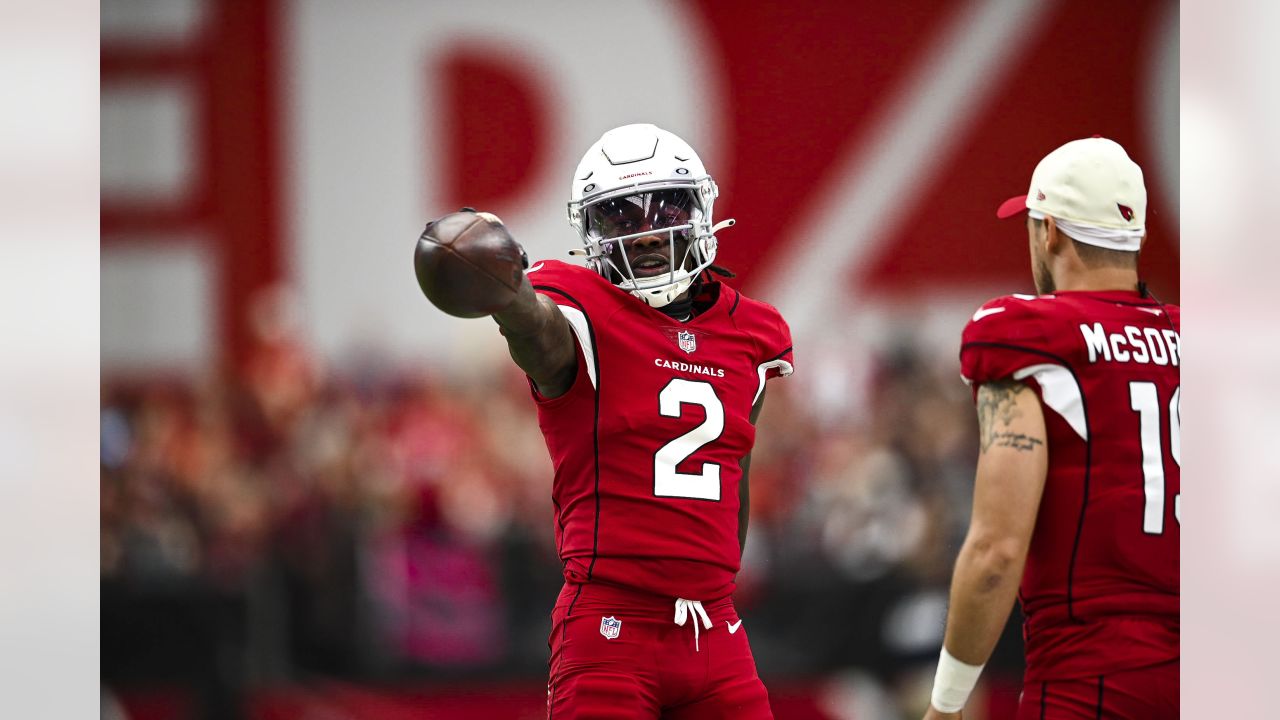 Cardinals vs. Chiefs live blog and reactions - Revenge of the Birds