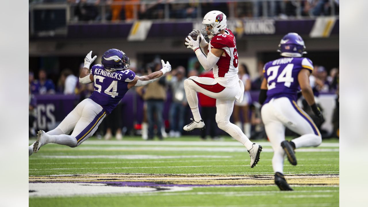 Arizona Cardinals vs Minnesota Vikings - October 30, 2022