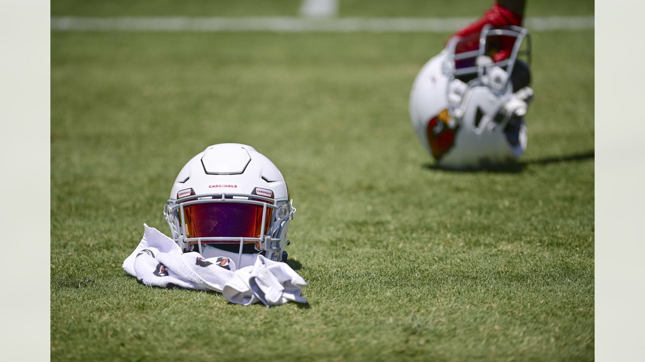 Former Arizona Cardinals linebacker Karlos Dansby makes free-agent visit  with Buffalo Bills, per report - Buffalo Rumblings