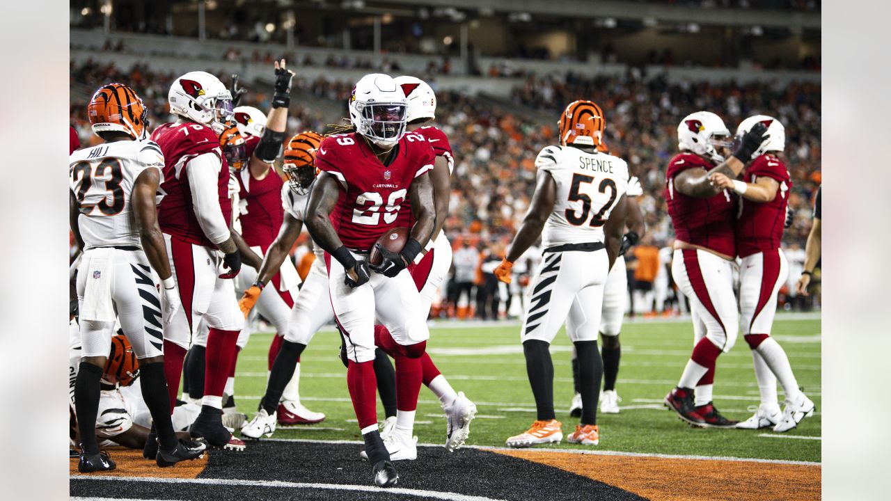 Cincinnati Bengals defensive end Cam Sample (96) lines up on defense during  an NFL football game against the Arizona Cardinals, Friday, Aug. 12, 2022,  in Cincinnati. (AP Photo/Zach Bolinger Stock Photo - Alamy