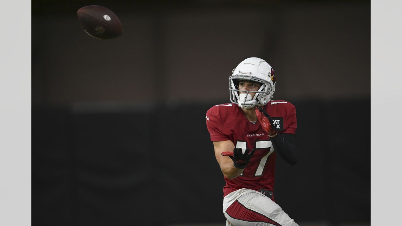 Cardinals 2022 training camp battle: Defensive Line - Revenge of the Birds