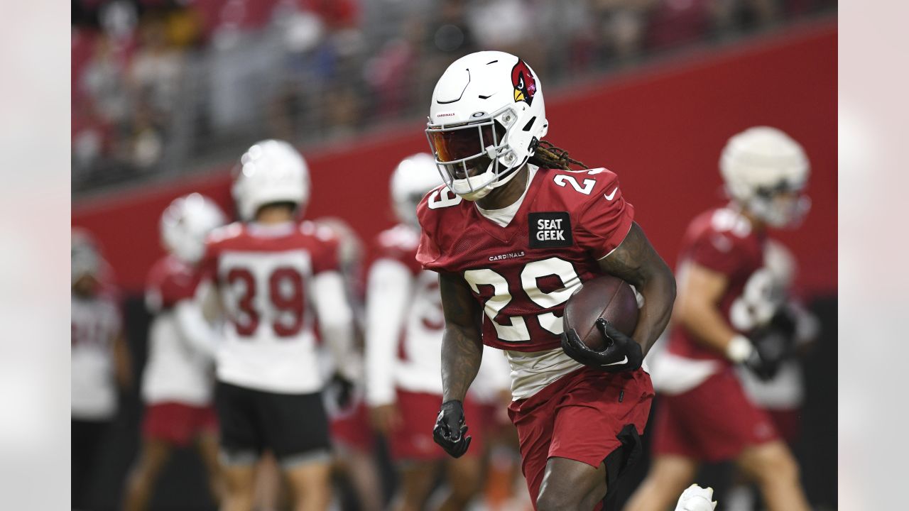 Arizona Cardinals training camp: Andy Lee returns to No. 4