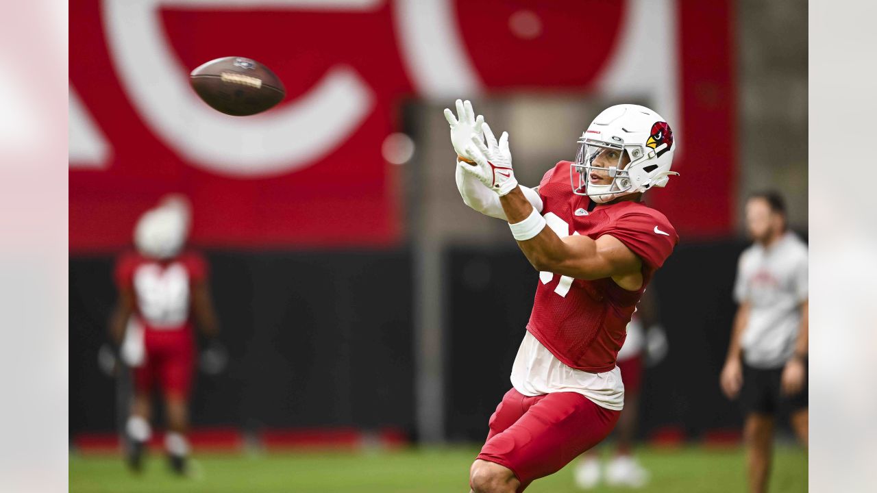 Arizona Cardinals sign former Philadelphia Eagles TE Noah Togiai