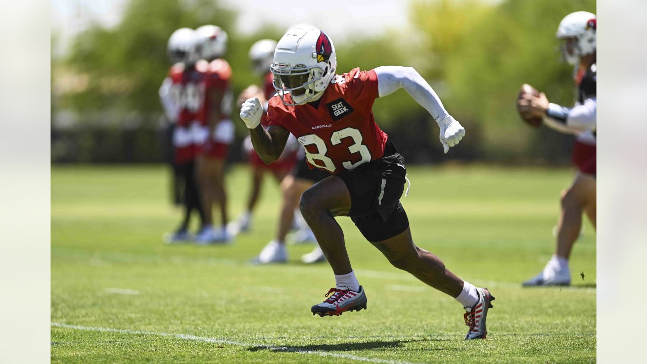 Arizona Cardinals 2023 OTA offseason workouts and minicamps schedule