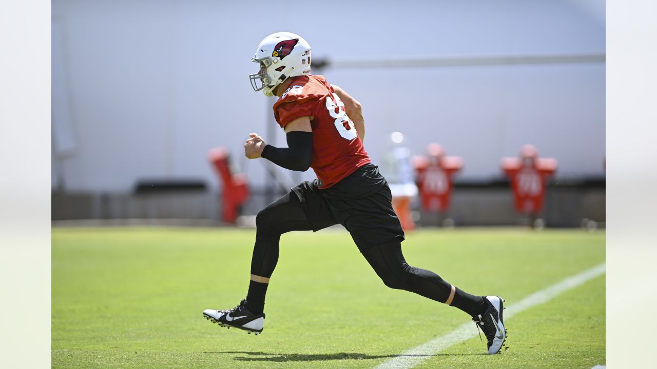 Arizona Cardinals' James Conner aware of expectations of him in 2022