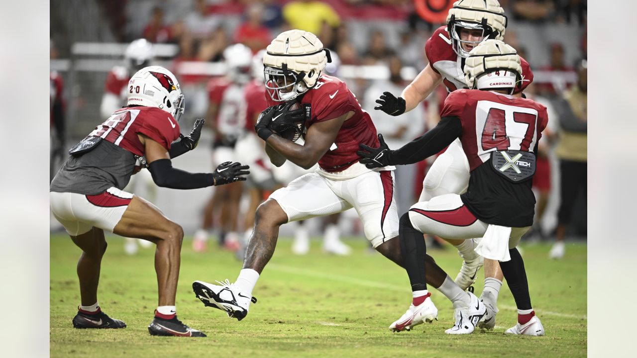 Arizona Cardinals release Eno Benjamin per report - Revenge of the Birds