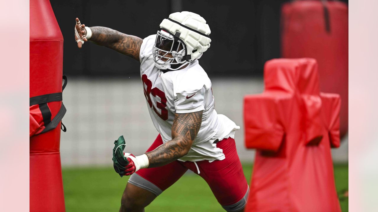 Arizona Cardinals defensive JuJu Hughes (36), Kris Boyd (29) and