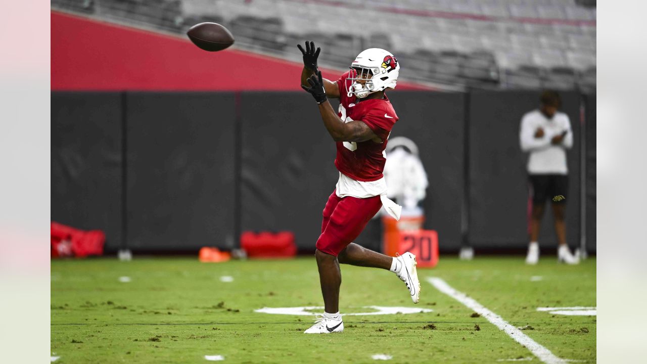 PHOTOS: Cardinals Training Camp - August 1