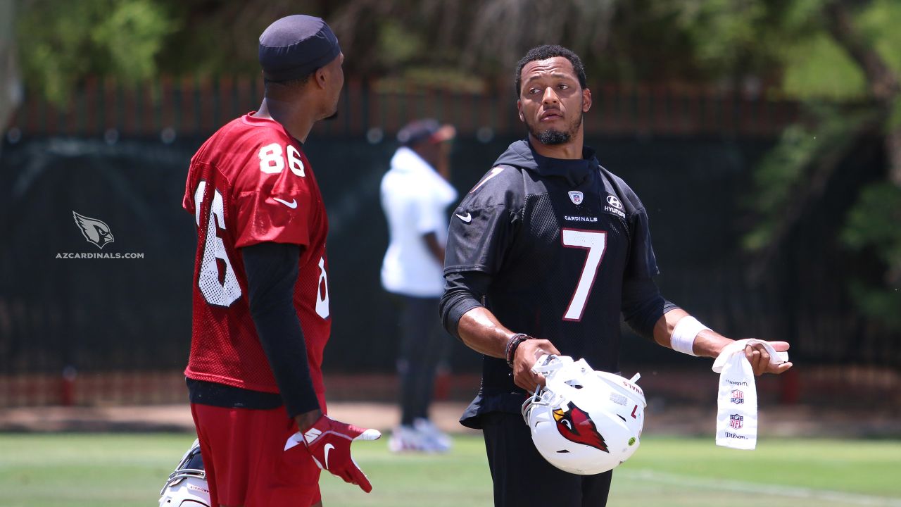 Bickley: Larry Fitzgerald's return brightens a crucial offseason for  Arizona Cardinals