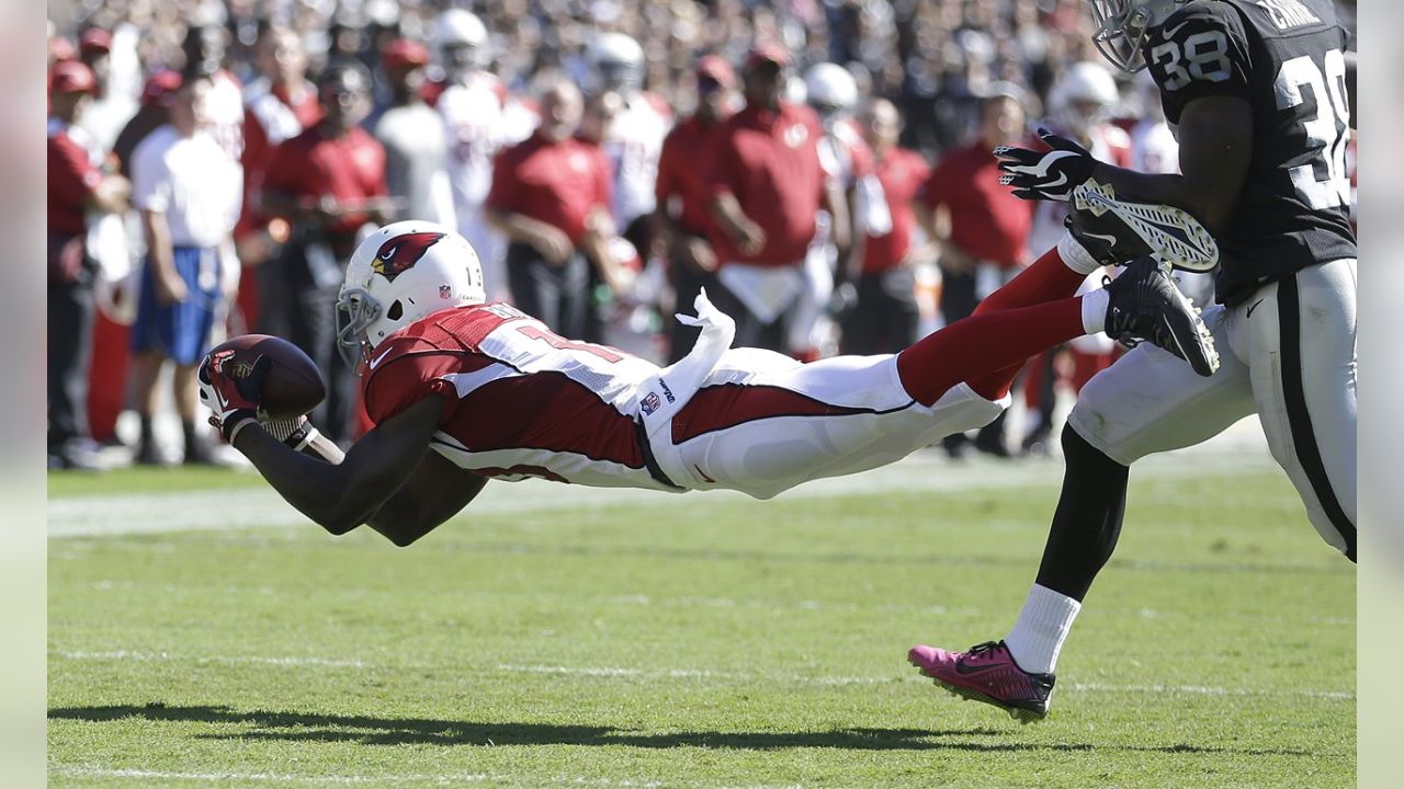 Andre Ellington Runs Cardinals Past Raiders