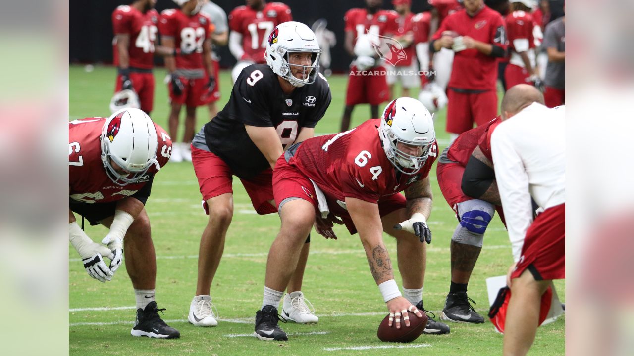 Cardinals cut wide receivers Greg Little, Brice Butler in cuts to 53 - NBC  Sports