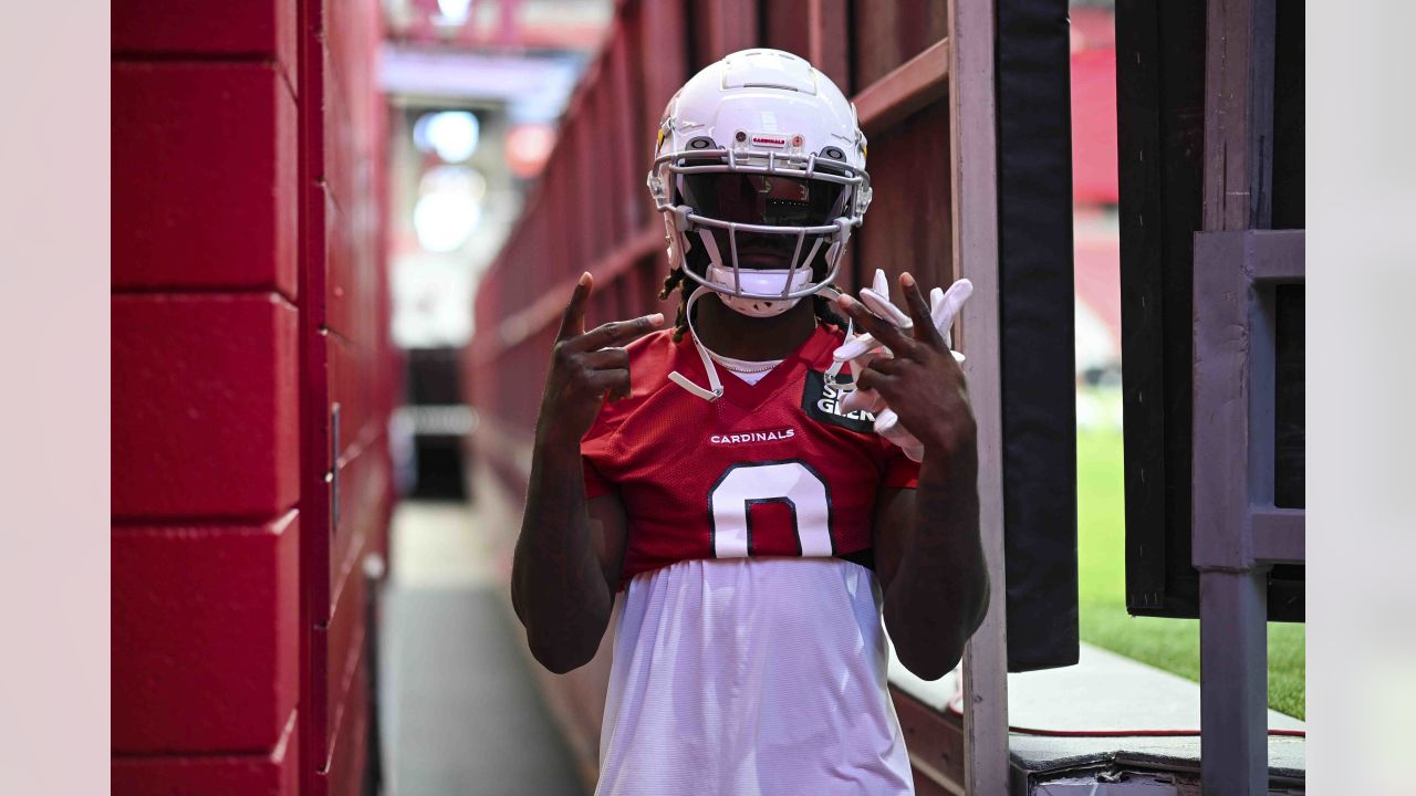 NFL Arizona Cardinals Football Team Training Camp Editorial Stock Image -  Image of blocking, helmet: 32643519