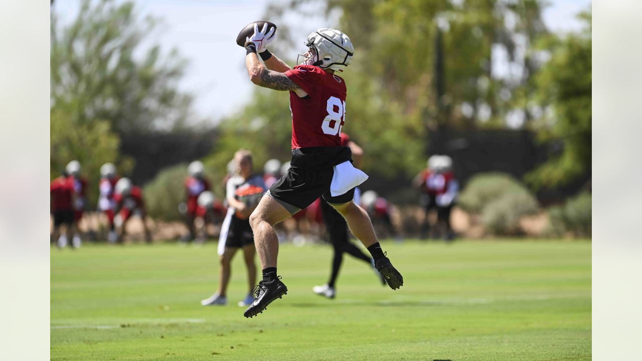 Arizona Cardinals center Hjalte Froholdt said he's OK after being checked  for concussion