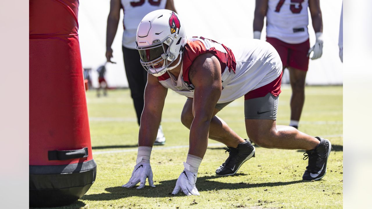 Arizona Cardinals continue juggling act with their defensive linemen