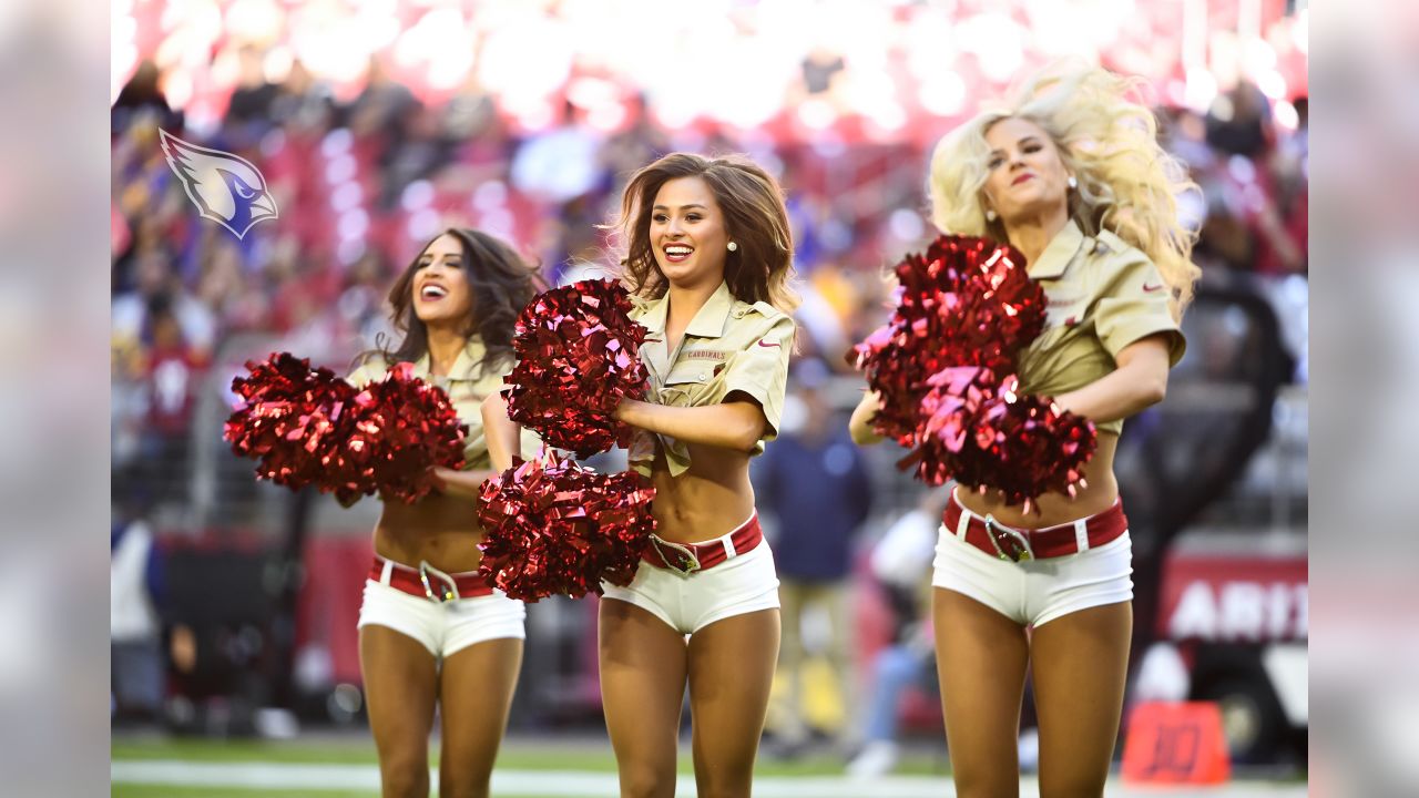 2,115 Arizona Cardinals Cheerleaders Stock Photos, High-Res