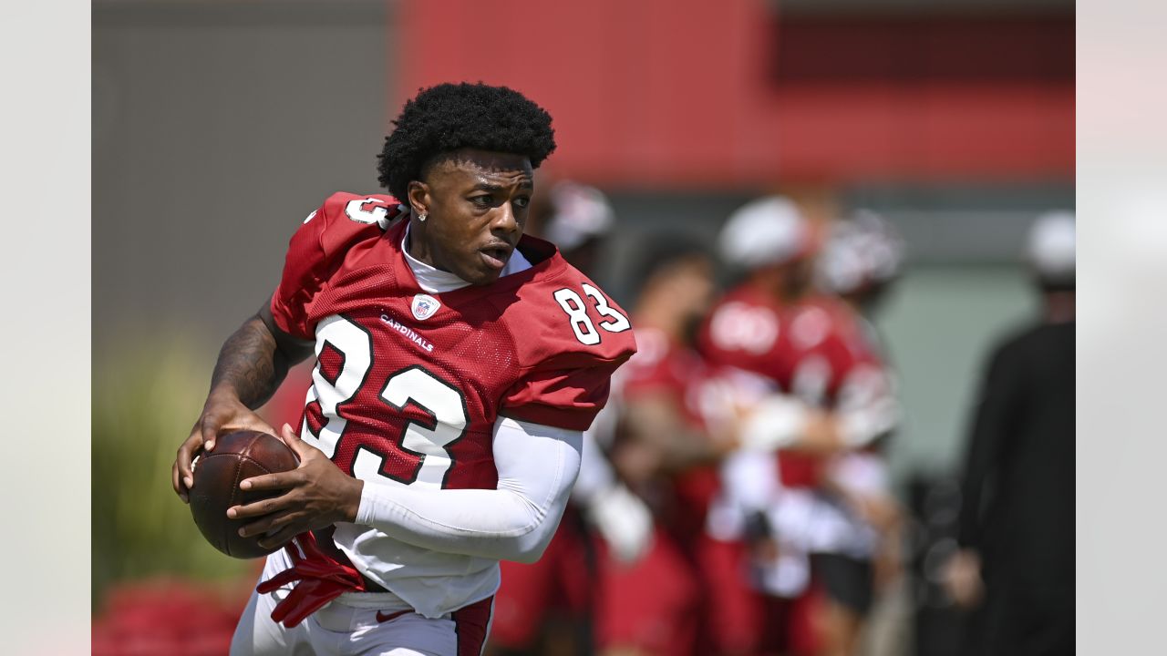 Arizona Cardinals running back James Conner (6) plays against the Carolina  Panthers during an NFL football game on Sunday, Oct. 2, 2022, in Charlotte,  N.C. (AP Photo/Jacob Kupferman Stock Photo - Alamy