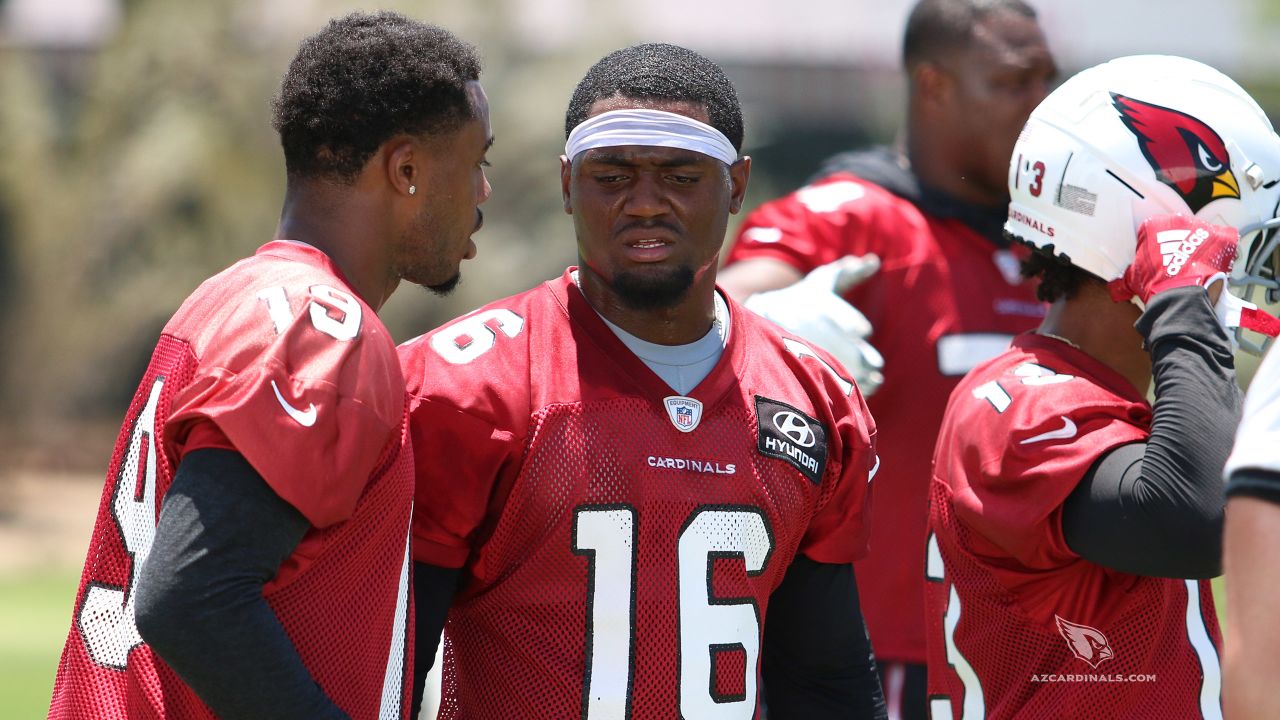 Bickley: Larry Fitzgerald's return brightens a crucial offseason for  Arizona Cardinals