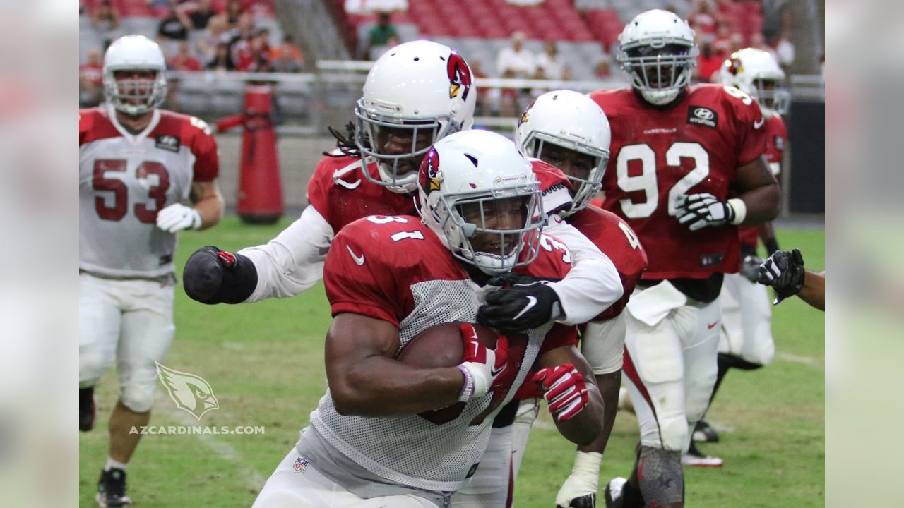 Cardinals' Larry Fitzgerald, Darren Fells ready to face off in hoops