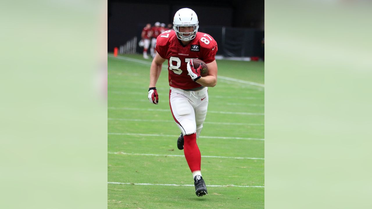 Cardinals release Lyle Sendlein - NBC Sports