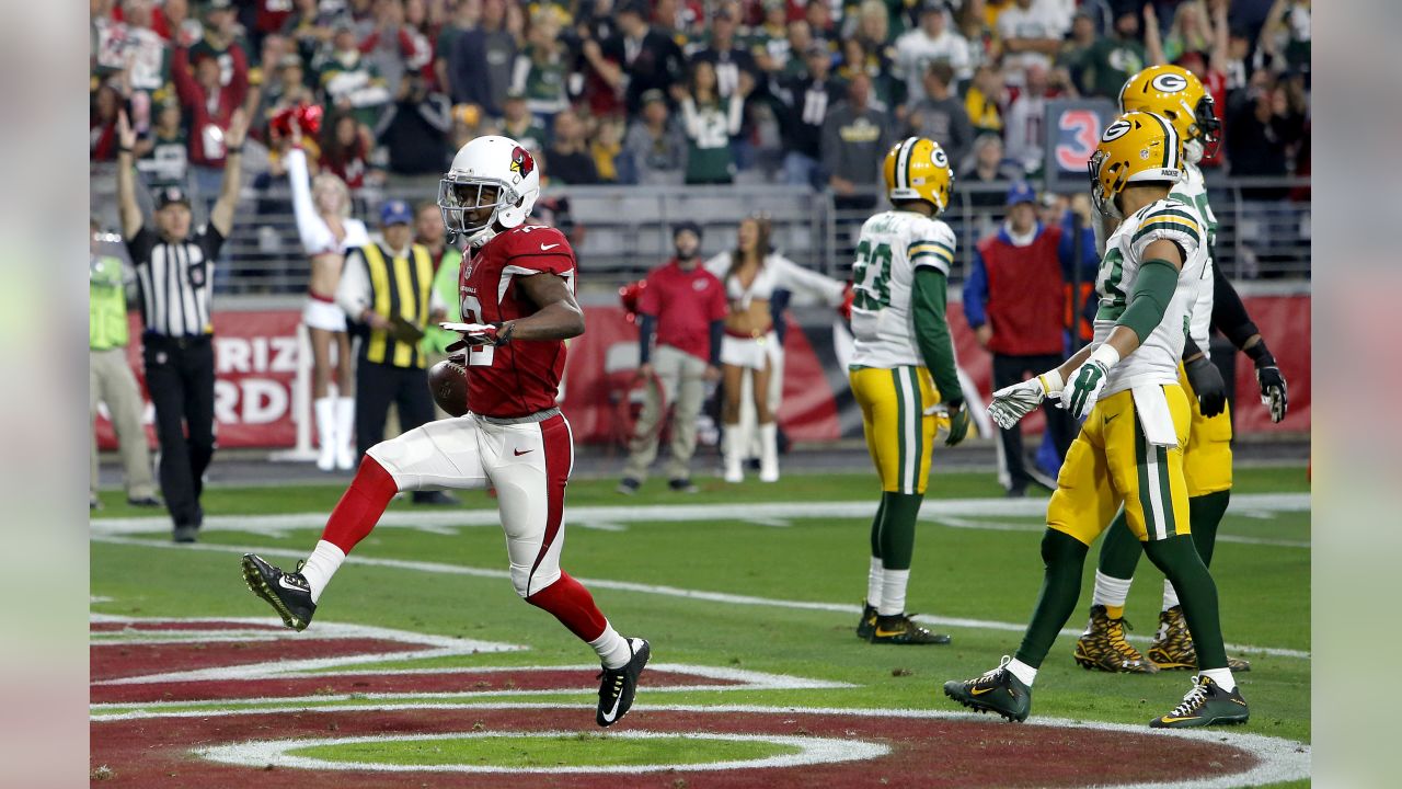 Arizona Cardinals defensive tackle Gabe Watson against the Houston Texans  during the third quarter of an NFL preseason football game on Saturday,  Aug. 14, 2010 in Glendale, Ariz. (AP Photo/Rick Scuteri Stock