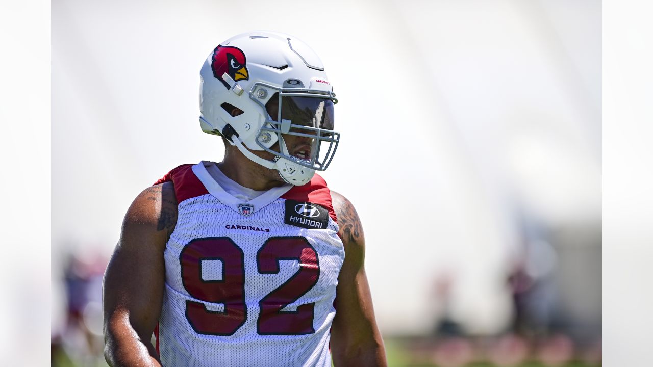 Cardinals Position Overview 2022: Running Back