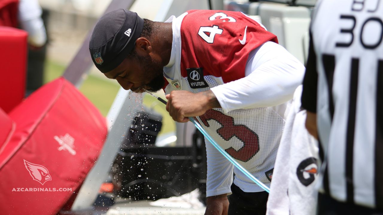 Eagles Haason Reddick INSANE Footwork Drills!! 16 Sacks Wasn't Enough!!  Sean Desai Weapons! 